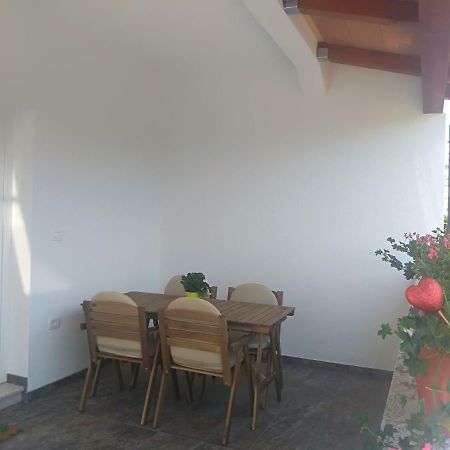 Apartment Ivana Novigrad  Ngoại thất bức ảnh