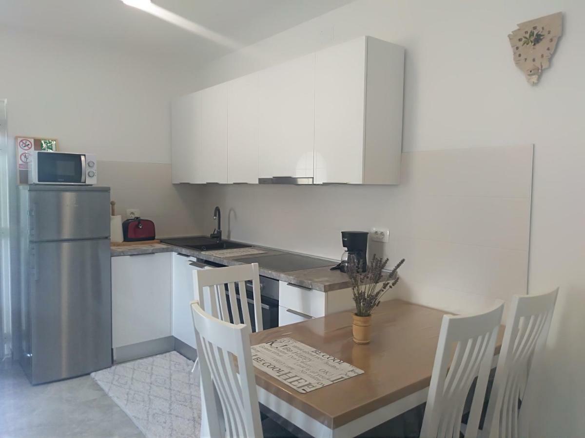 Apartment Ivana Novigrad  Ngoại thất bức ảnh