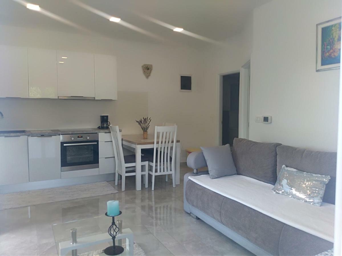 Apartment Ivana Novigrad  Ngoại thất bức ảnh