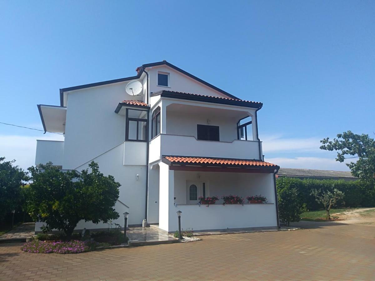 Apartment Ivana Novigrad  Ngoại thất bức ảnh